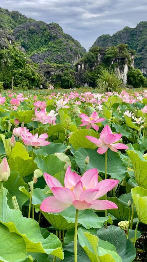 Hanoi Holiday Hotel Bagian luar foto
